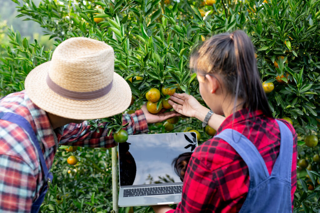 10 erros comuns de marketing digital que os negócios agrícolas devem evitar