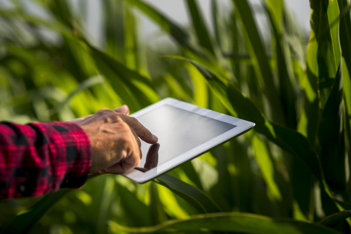 5 maneiras de usar o conteúdo gerado pelo usuário para promover o seu negócio agrícola