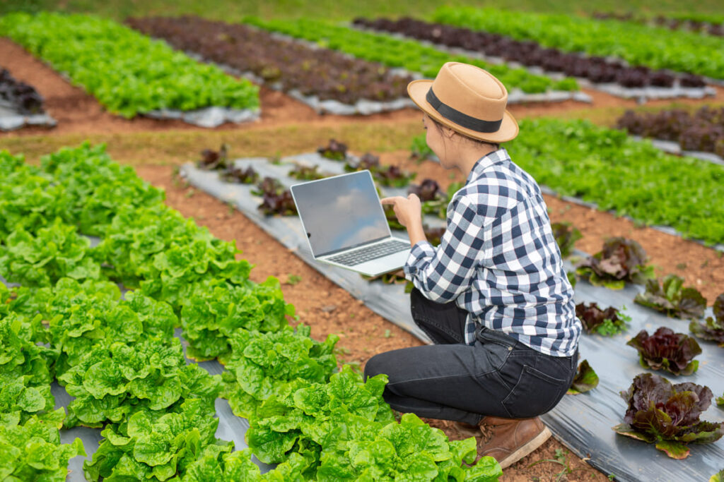 7 maneiras de usar o Instagram Stories para promover o seu negócio agrícola
