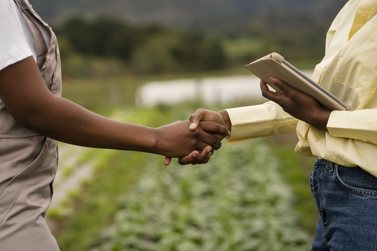 Como criar uma campanha de marketing de afiliados para o seu negócio agrícola