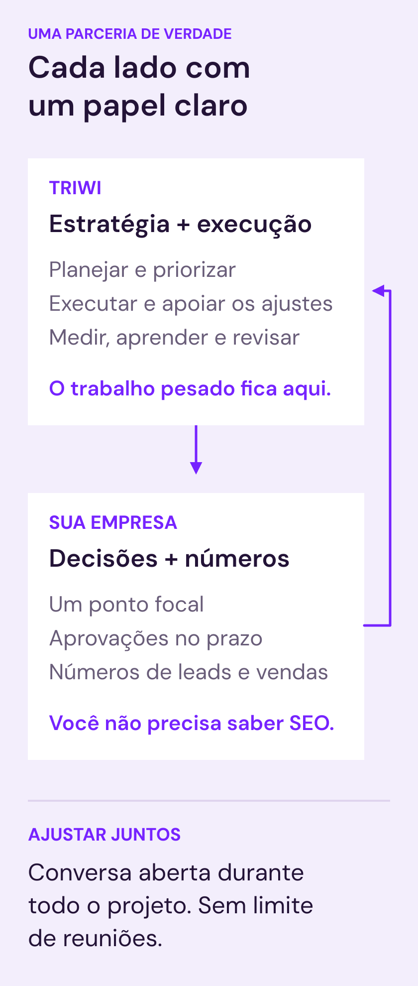 Circuito de colaboração: a TRIWI cuida da estratégia, da execução, da implementação apoiada e da medição. A empresa participa com um ponto focal, aprovações no prazo e números de venda. Dados e decisões voltam para a revisão contínua do projeto.